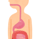 始めてみませんか? 酵素を積極的に取り入れた生活
